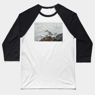 Black-crowned night heron of hawaii 6 Baseball T-Shirt